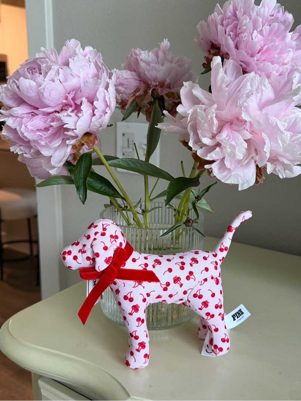 Victoria's Secret Valentine’s Day Pink Mini Dog With Cherries 2026